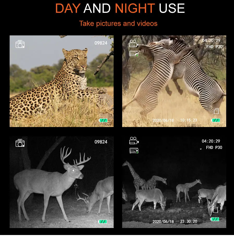 Hog Striker - Infrared Night Vision System Kit